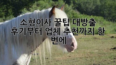 📦 소형이사 꿀팁 대방출! 후기부터 업체 추천까지 한 번에! 🚚💨