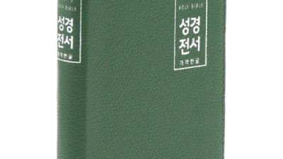 본한자 특가! 후회 없는 선택, 내돈내산 솔직 후기
